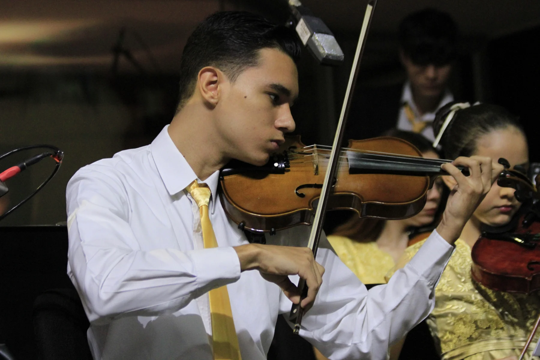 Violinista de la orquesta
